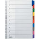 Blanco tabbladen leitz mylar 4321 kleurenassortiment bopet