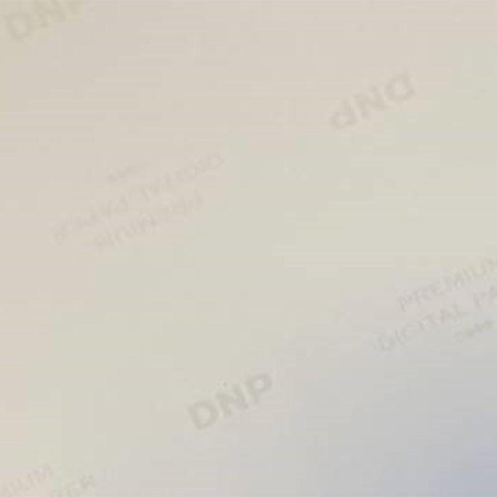 DNP Standaard Papier DSRX1HS-4X6 2 Rol � 700 St. 10x15 voor DS-RX1HS