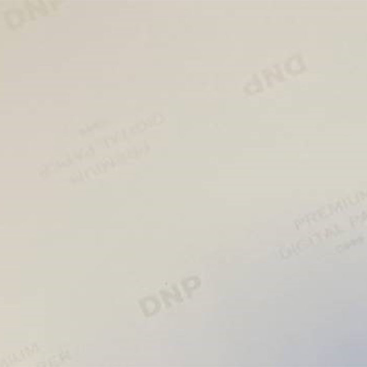 DNP Standaard Papier DSRX1HS-4X6 2 Rol � 700 St. 10x15 voor DS-RX1HS