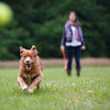 Happy pet fling n fetch werpstok assorti