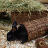 Happy pet wilgen tunnel