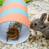 Happy pet wilgen value pack 2 sticks 2 ballen
