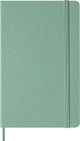 Moleskine notitieboek large - hardcover - blanco - sage green