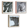 Zep wl57100 album slip-in 100 photos 13x19 cm - 12 albums