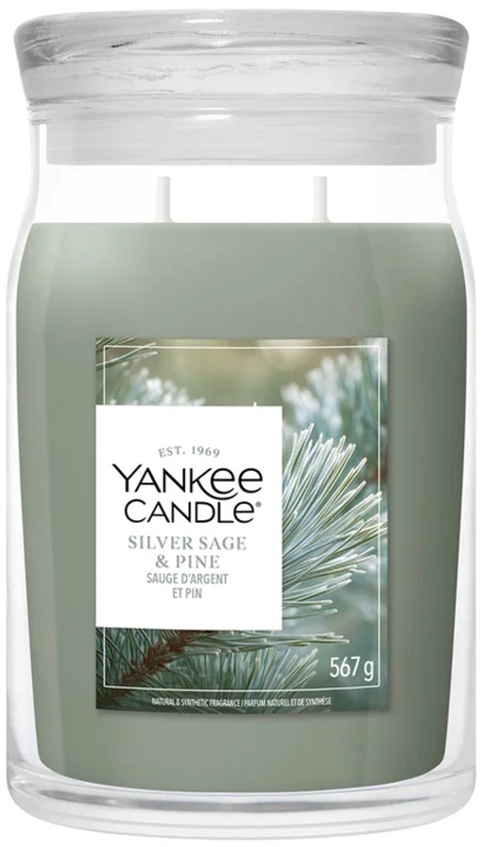 Yankee candle - silver sage pine large jar geurkaars - 90 branduren - twee lonten