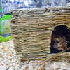 Nature first happy pet grassy hideaway verstopplek