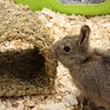 Happy pet grassy tunnel