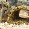 Happy pet grassy tunnel