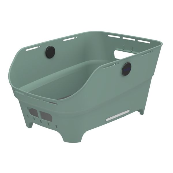 Basil mand cento neo wsl