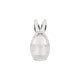 Clayre eef voorraadpot konijn met deksel ã˜ 6x11 cm glas