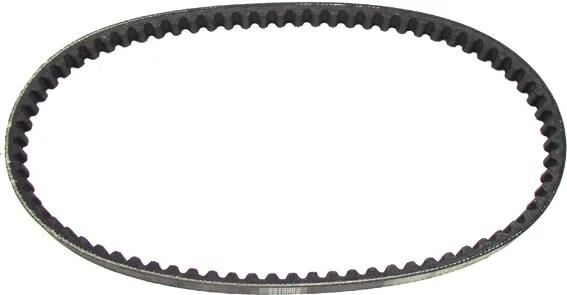 Gates v-snaar standard v-belts 17x769 mm