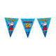 Paperdreams party vlag - abraham cartoon