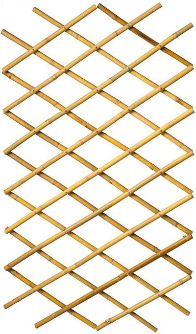 Nature - bamboe klimrek (rekbaar) - 45cm x 1,8m - l
