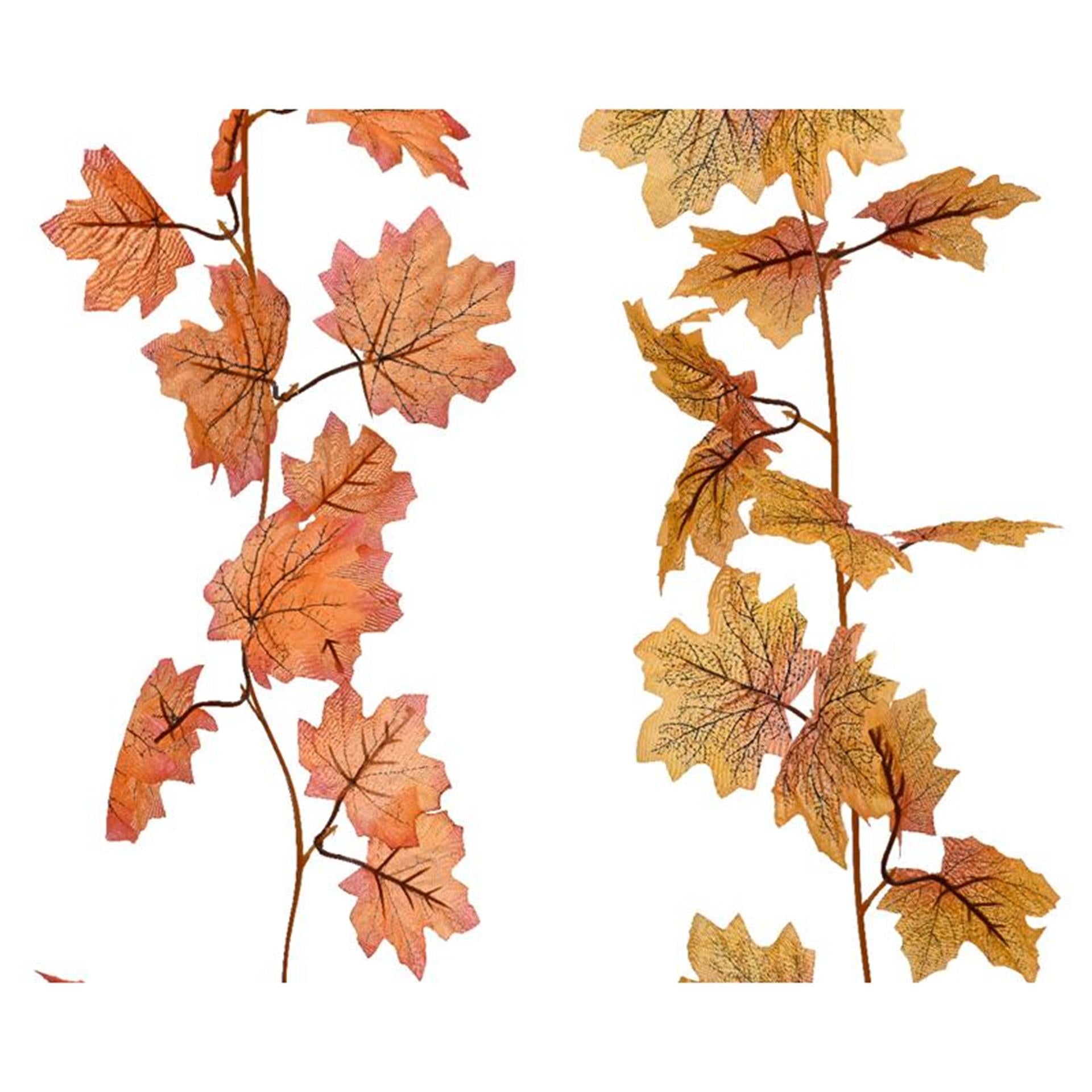 Decoris guirlande herfstbladeren l175cm