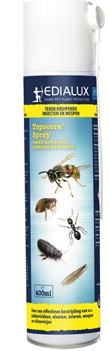 Topscore kruipende insect wesp