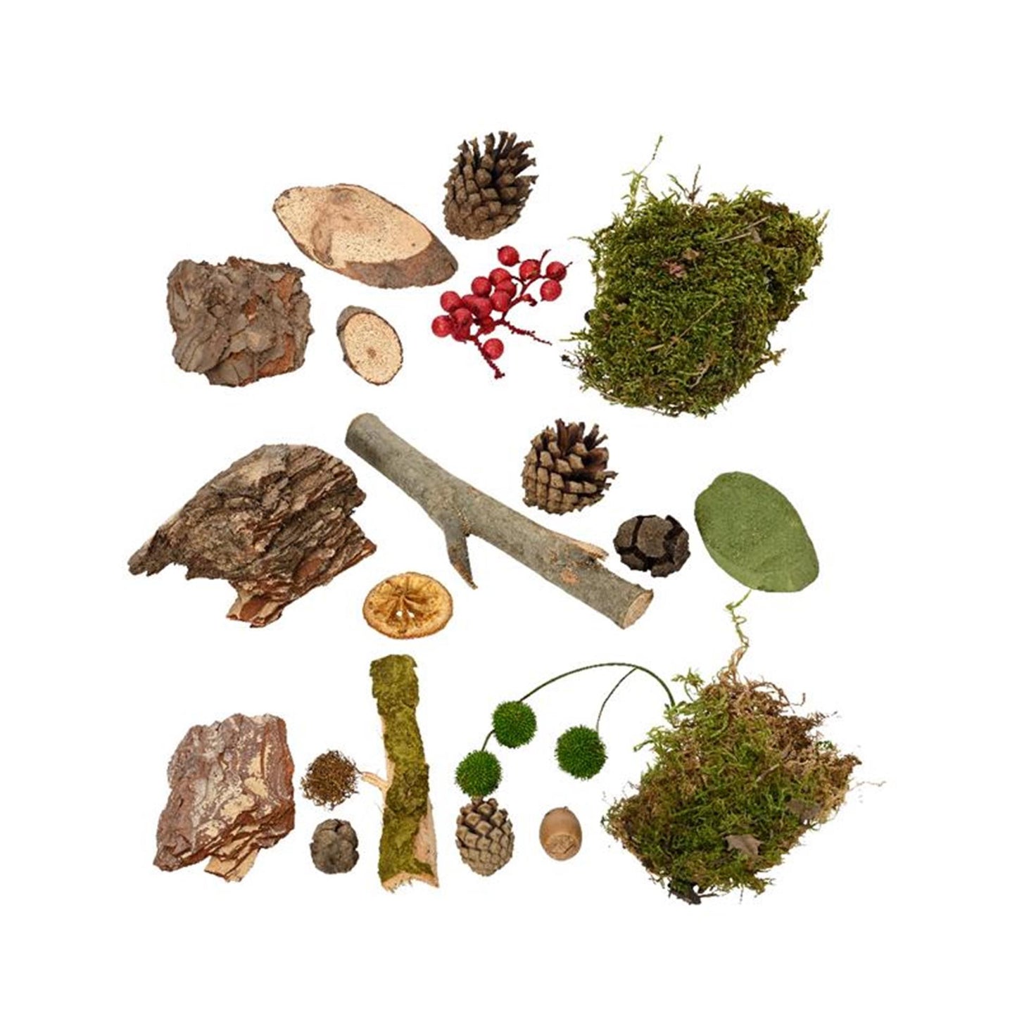 Decoris decoratieset mix mos berries