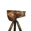 Buteo photo gear regenhoes 1