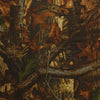 Buteo photo gear regenhoes 1