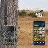 Stealth gear hedgehog 1080p 4g wildcamera