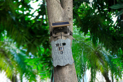 Stealth gear owl solar 4k wifi wildcamera