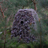 Buteo photo gear hybride camouflagenet natural green 1,5x3 m - afbeelding 2