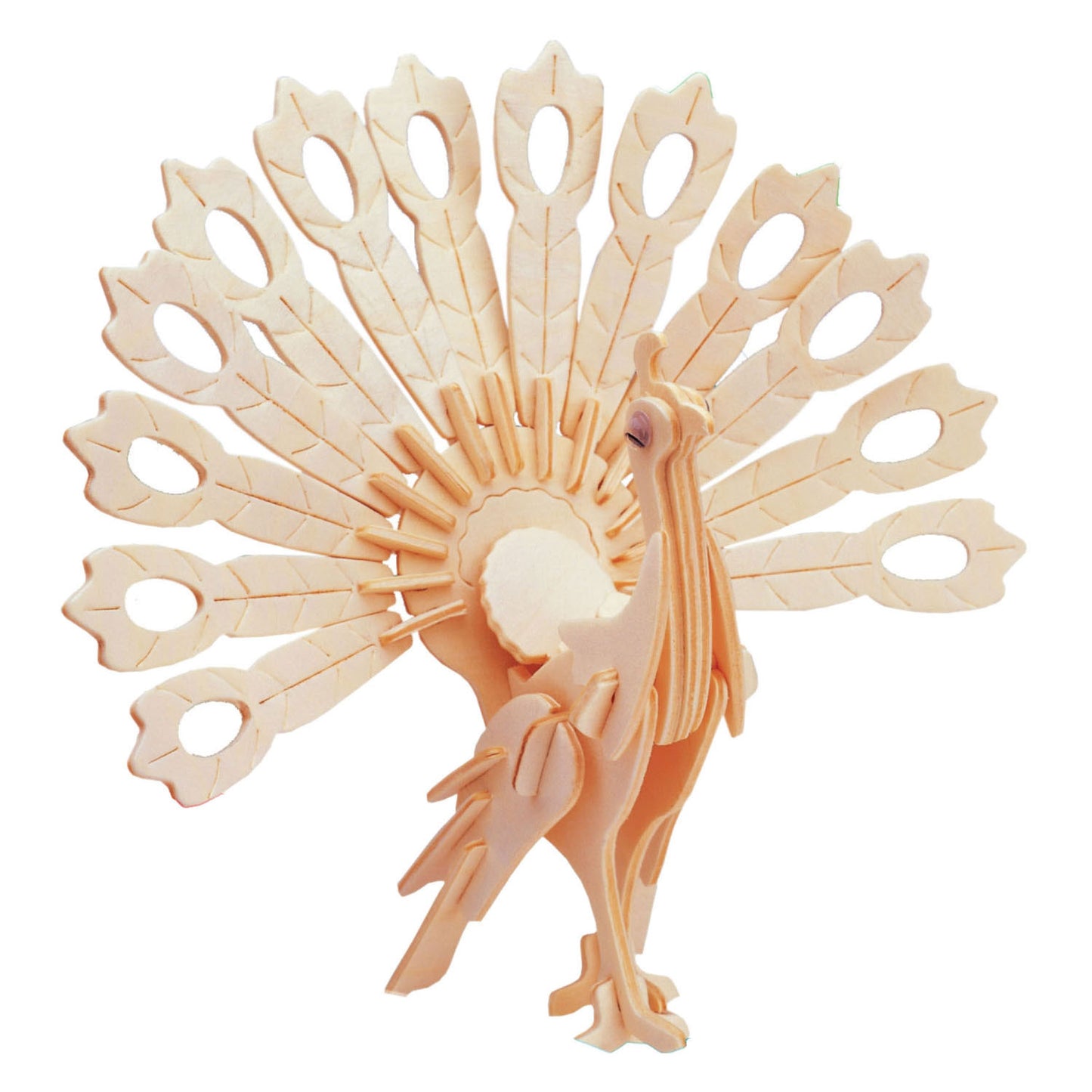 Houten bouwpakket pauw