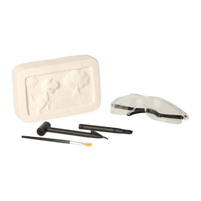 Dino fossielen opgraven