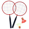 Alert sport badmintonset mini | 5 stuks