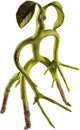 Noble collection fantastic beasts: buigbare bowtruckle