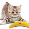 Petstages green magic boomerang buddy