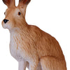 Mojo wildlife haas - 381072