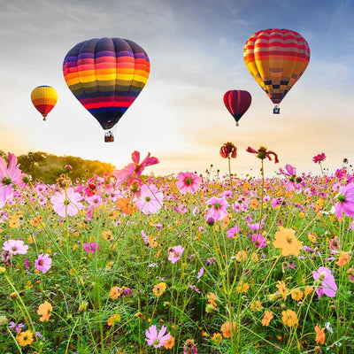 Anna's collection buitencanvas luchtballonnen 78x78cm