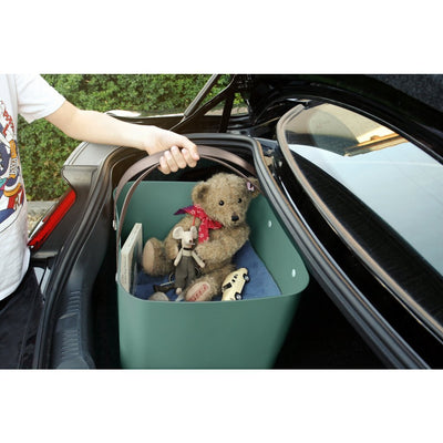 Rotho albula storage system 40l mistletoe groen