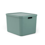 Rotho albula multibox 55l mistletoe groen - afbeelding 1