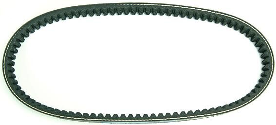 Polini v-snaar verstärkt v-belts verst. 18x675 mm