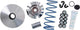 Polini variomatic hi-speed variomatic hispeed honda pcx 125