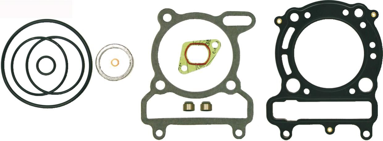 Rms cilinder pakkingset cylinder gasket set 250 ccm