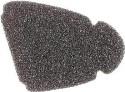 Athena luchtfilter air filter