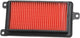 Tecnium luchtfilter air filter 16636