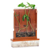 Experimenten - planten doolhof, 21dlg.