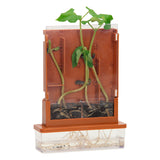 Experimenten - planten doolhof, 21dlg. - afbeelding 4