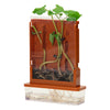 Experimenten - planten doolhof, 21dlg.