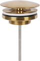 Differnz afvoerplug mat goud â€“ always open â€“ ã˜ 72 mm â€“ met schroef