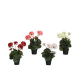 Decoris kunstplant geranium in pot polyester 25x25x35cm 4 assorti - afbeelding 1