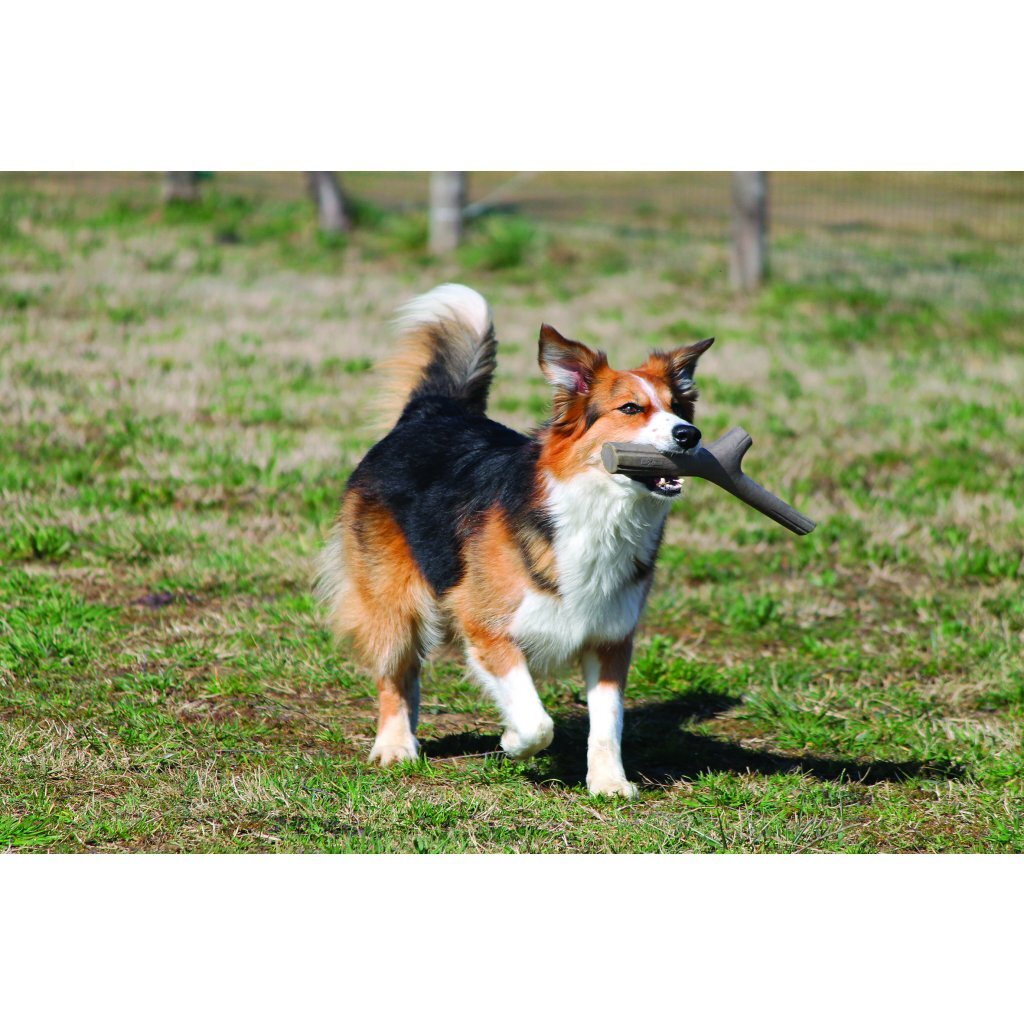 Bama tuttomio rubberen speelstok 11x4x37 cm assorti