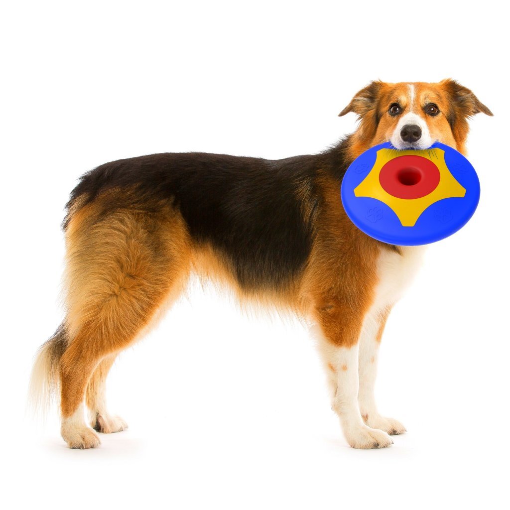 Bama pet trotto disk hondenspeelgoed 24.5x4.5 cm blauw geel rood