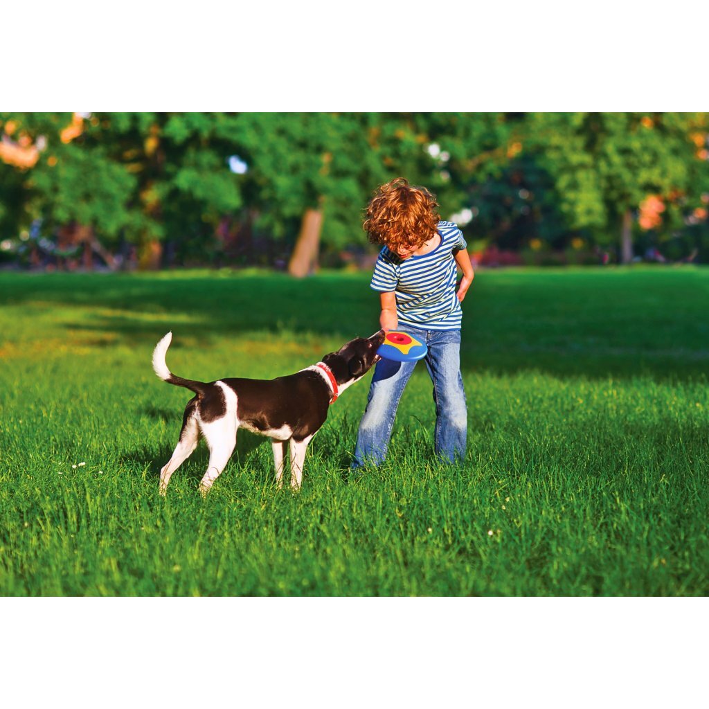 Bama pet trotto disk hondenspeelgoed 24.5x4.5 cm blauw geel rood