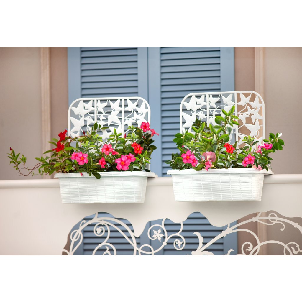 Bama fioriera bloem-balkonbakken privacy 60x22x64 cm 2 stuks wit