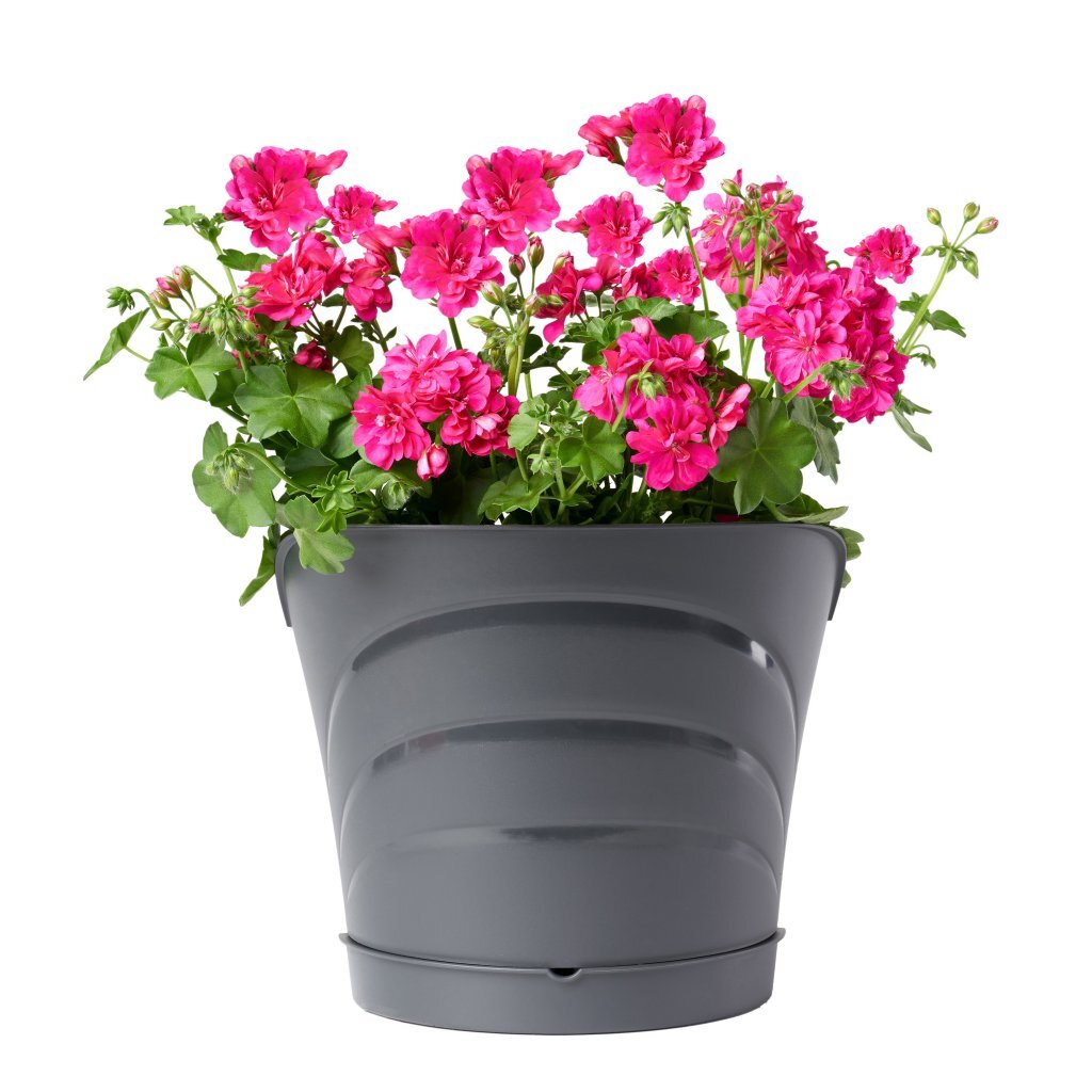 Bama tulipano bloempot 5l 34.5x19x30 cm 4 stuks antraciet