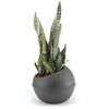 Bama sfera bloempot 23l 40.5x32 cm antraciet